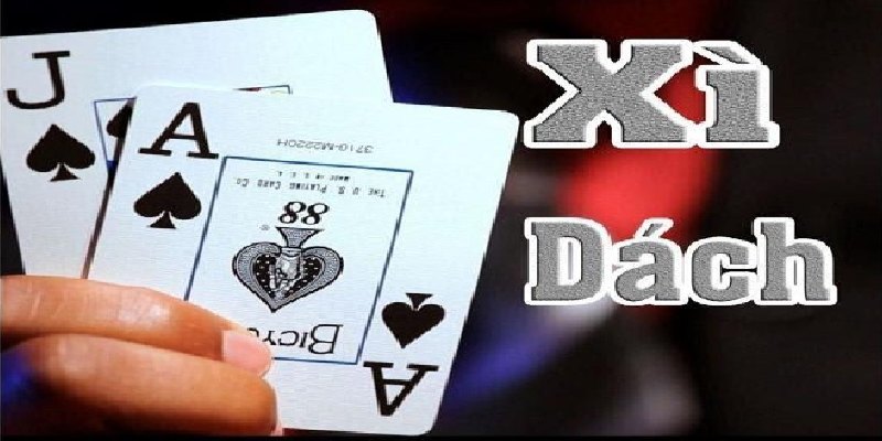 Giới thiệu về xì dách online cho người mới tham gia