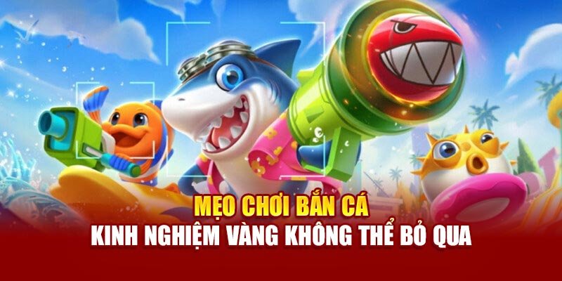 Theo dõi kho báu và hộp quà để có thêm ưu đãi khi trải nghiệm bắn cá