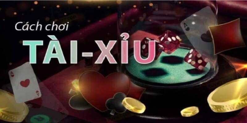 Nắm rõ xác suất từng cửa cược là một nguyên tắc quan trọng giúp thắng lớn