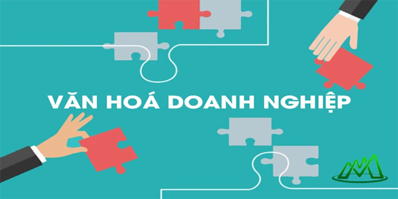 Văn hóa doanh nghiệp tích cực là một lợi thế khi tham gia nhà cái